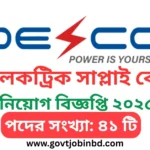 ডেসকো নিয়োগ বিজ্ঞপ্তি ২০২৫